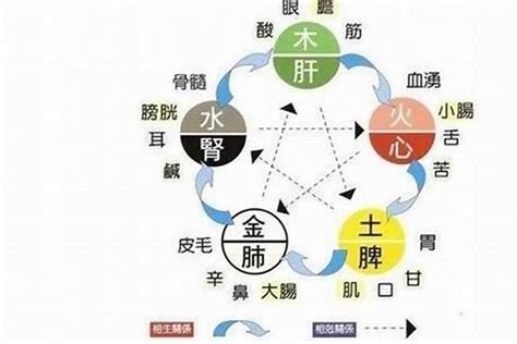 五行缺水會怎樣|五行缺水？4招扭轉命運